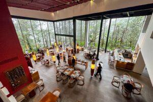 Read more about the article This ecolodge floats atop Ecuador’s cloud forest — and every stay is carbon neutral