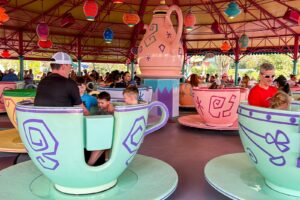 Read more about the article Multiple theme parks are implementing chaperone policies after a string of ‘unruly’ behavior