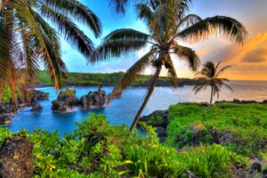 Read more about the article American offering round-trip flights to Hawaii from multiple US cities starting at $296