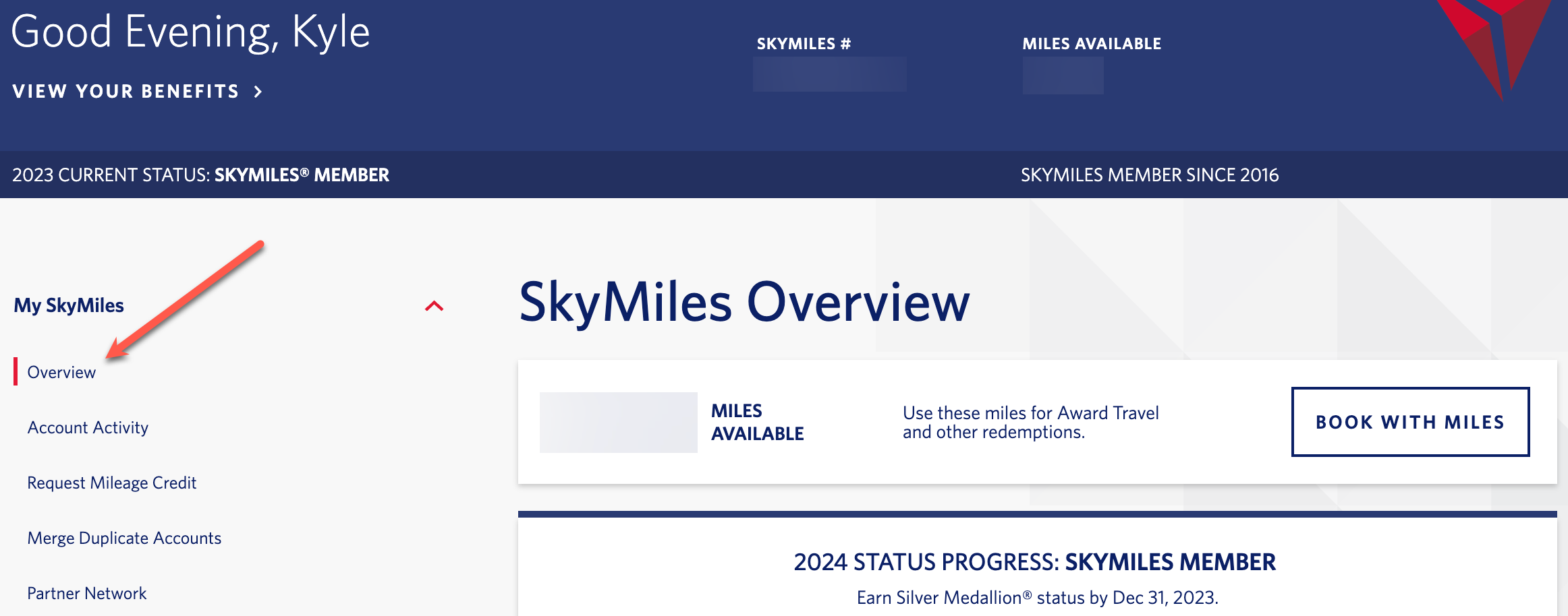 You are currently viewing Your guide to Delta Air Lines lifetime elite status