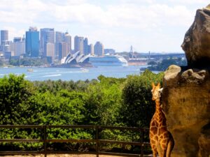 Read more about the article Deal alert: Fly to Sydney, Australia from Los Angeles from $629 round-trip