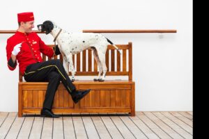 Read more about the article Are dogs allowed on cruise ships? These are the cruises that allow pets