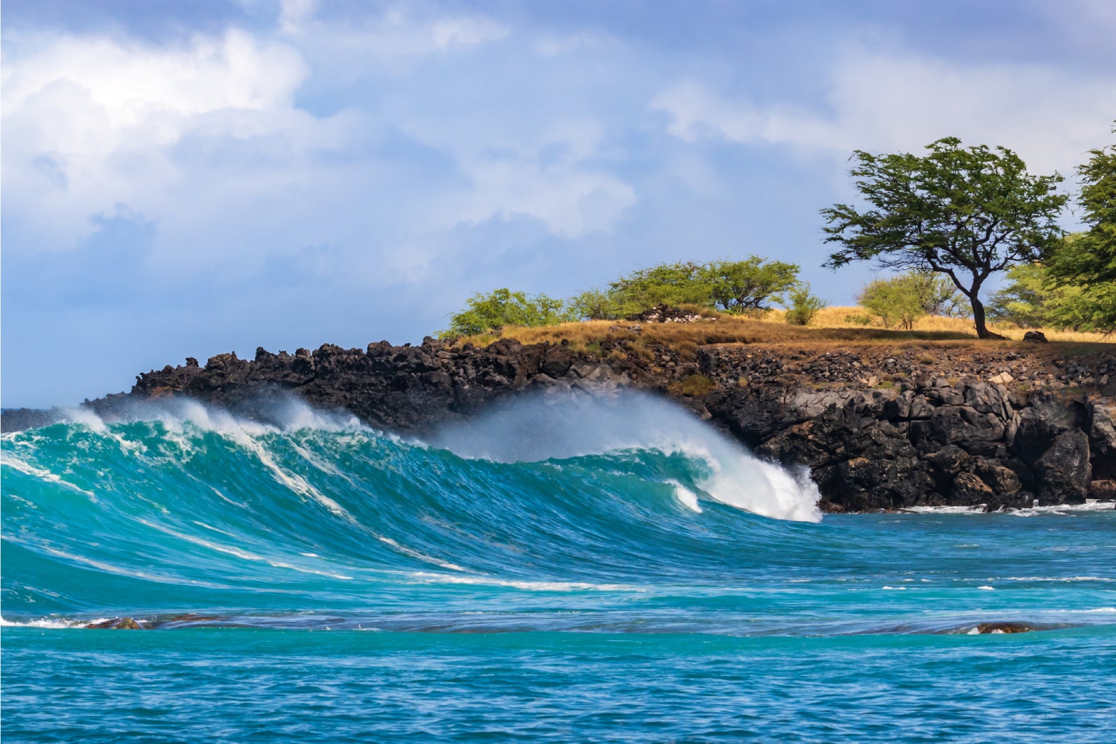 You are currently viewing Delta Air Lines announces new Hawaii route from its Salt Lake City hub and more flights next winter