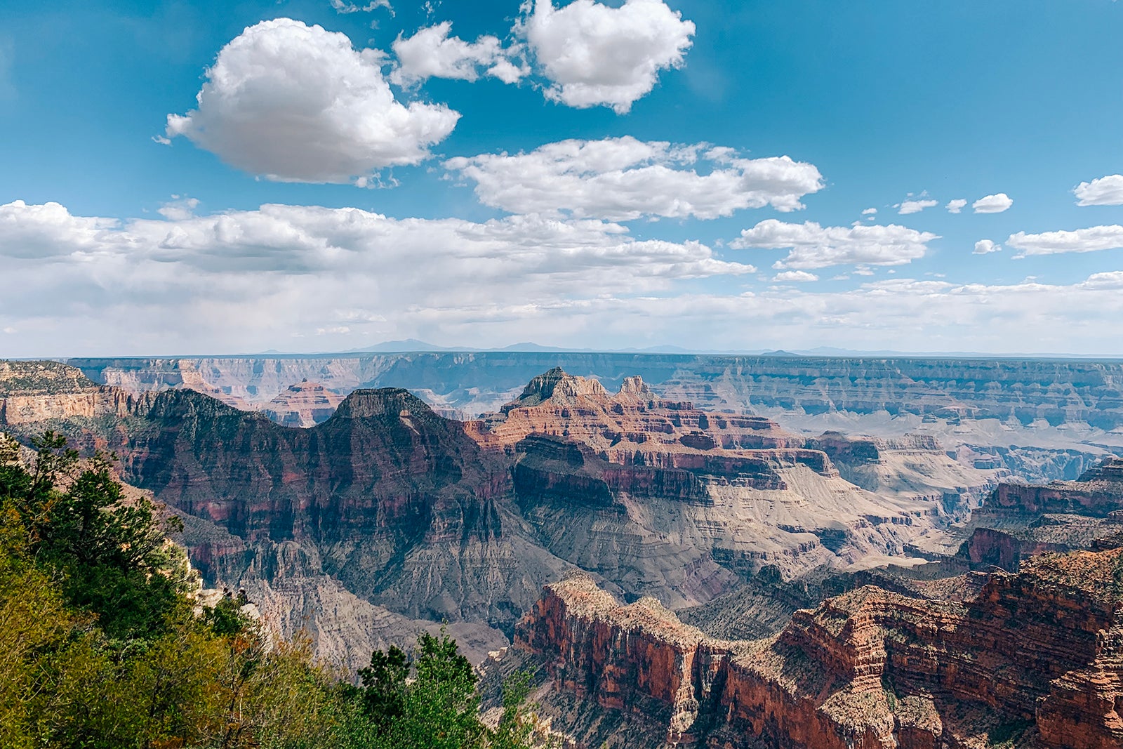 Read more about the article Grand Canyon North Rim fire: What you should know if you have plans to visit the national park