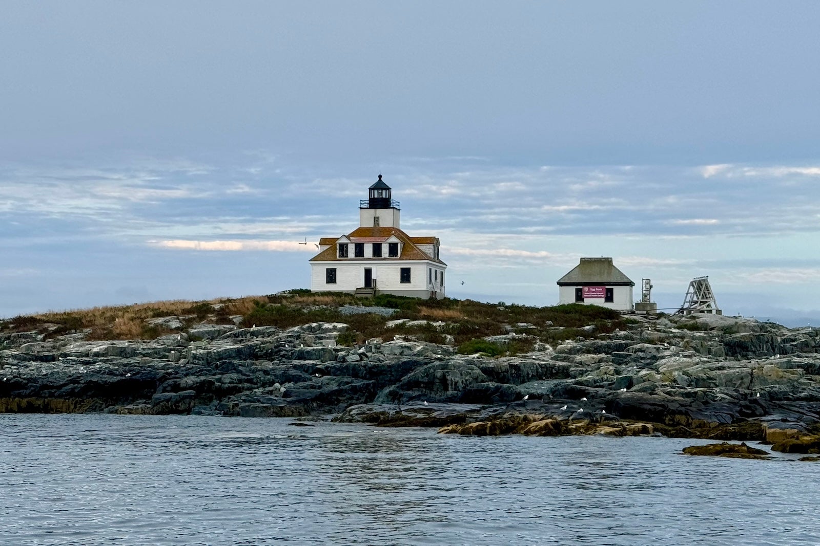 Read more about the article Maine, Nova Scotia and the Rockies: United dials up summer travel in 14-route expansion