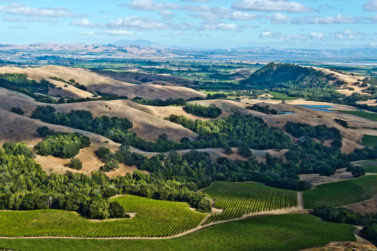 You are currently viewing Wine country turf war? Alaska Airlines adds 3 Sonoma routes, returns to Long Beach