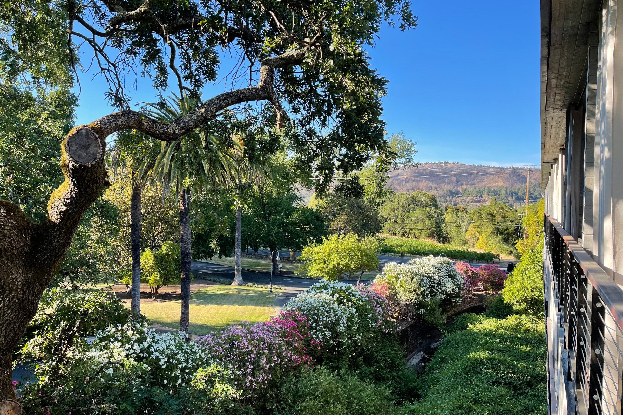 Read more about the article These two popular Hyatt hotels no longer accept suite upgrade awards